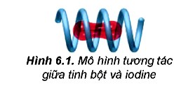 Phản ứng màu với dung dịch lodine