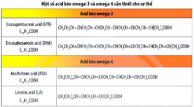 Một số acid béo Omega 3 và Omega 6 cần thiết cho cơ thể