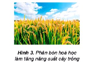 Vai trò hóa học trong nông nghiệp sản xuất phân bón cây