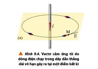 Cảm ứng từ