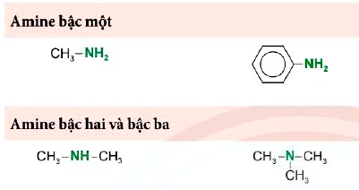 Ví dụ phân loại Amine theo bậc