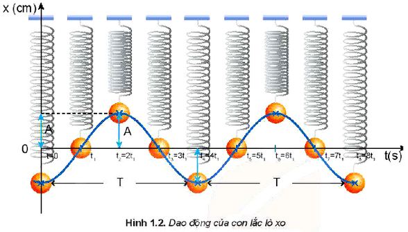 Lý thuyết Vật lí 11 Kết nối tri thức bài 1: Dao động điều