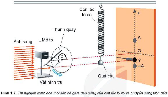 Lý thuyết Vật lí 11 Kết nối tri thức bài 1: Dao động điều