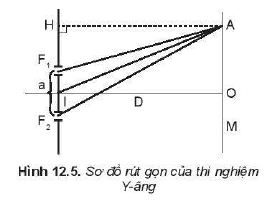 Lý thuyết Vật lí 11 Kết nối tri thức bài 12: Giao thoa sóng: Điều kiện xảy ra giao thoa, công thức tính bước sóng