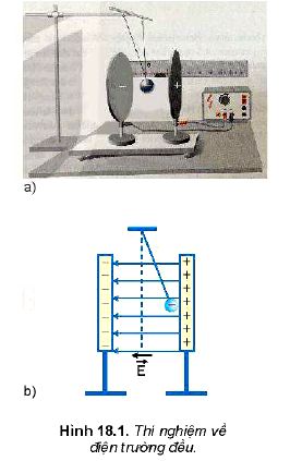 Lý thuyết Vật lí 11 Kết nối tri thức bài 18: Điện trường đều: Khái niệm, tác dụng và ứng dụng của điện trường đều