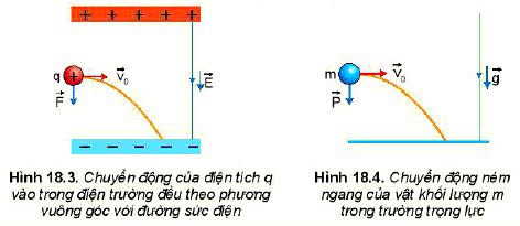 Lý thuyết Vật lí 11 Kết nối tri thức bài 18: Điện trường đều: Khái niệm, tác dụng và ứng dụng của điện trường đều