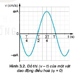 Lý thuyết Vật lí 11 Kết nối tri thức bài 3: Vận tốc, gia tốc trong dao động điều hòa