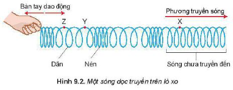 Lý thuyết Vật lí 11 Kết nối tri thức bài 9: Sóng ngang, sóng dọc và sự truyền năng lượng của sóng cơ