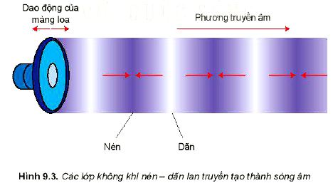 Lý thuyết Vật lí 11 Kết nối tri thức bài 9: Sóng ngang, sóng dọc và sự truyền năng lượng của sóng cơ