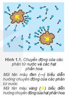 Lý thuyết Vật lí 12 Kết nối tri thức bài 1: Cấu trúc của chất. Sự chuyển thể