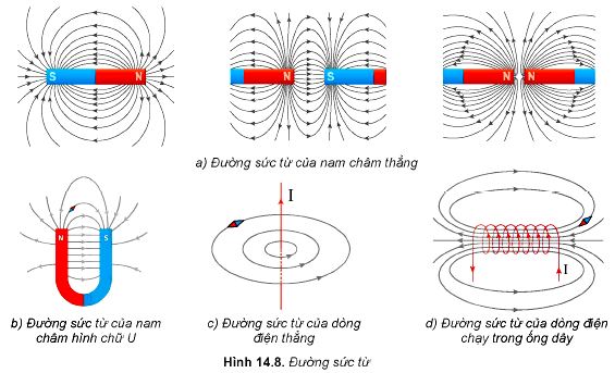 Lý thuyết Vật lí 12 Kết nối tri thức bài 14: Từ trường: Khái niệm, tính chất từ trường, từ phổ, đường sức từ