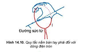 Lý thuyết Vật lí 12 Kết nối tri thức bài 14: Từ trường: Khái niệm, tính chất từ trường, từ phổ, đường sức từ