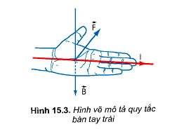 Lý thuyết Vật lí 12 Kết nối tri thức bài 15: Lực từ tác dụng lên dây dẫn mang dòng điện. Cảm ứng từ