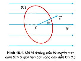 Lý thuyết Vật lí 12 Kết nối tri thức bài 16: Từ thông. Hiện tượng cảm ứng điện từ, định luật LENZ, định luật FARADAY