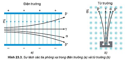 Lý thuyết Vật lí 12 Kết nối tri thức bài 23: Hiện tượng phóng xạ: Định luật phóng xạ, độ phóng xạ