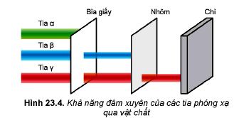 Lý thuyết Vật lí 12 Kết nối tri thức bài 23: Hiện tượng phóng xạ: Định luật phóng xạ, độ phóng xạ