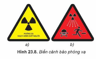 Lý thuyết Vật lí 12 Kết nối tri thức bài 23: Hiện tượng phóng xạ: Định luật phóng xạ, độ phóng xạ