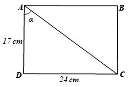 bài 4.14 SGK Toán 9 Tập 1 Kết nối tri thức