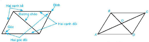 Hình bình hành Toán 6