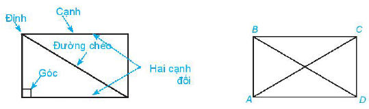 Hình chữ nhật Toán 6