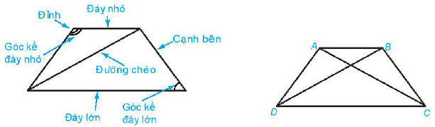 Hình thang cân Toán 6