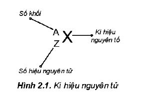 Ký hiệu nguyên tử Hóa 10 trang 18 Kết nối tri thức