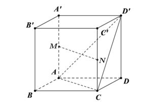 Giải bài 12 trang 83 Toán 12 Tập 1 Cánh diều