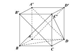 Câu b bài 3 trang 63 Toán 12 tập 1 Cánh Diều