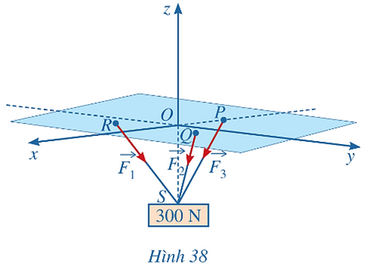 Bài 8 trang 81 Toán 12 Tập 1 Cánh diều