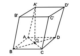 Giải bài 13 trang 87 Toán 11 tập 2 Chân trời sáng tạo: