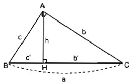 hệ thức lượng trong tam giác vuông