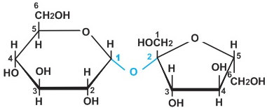 tailieuXANH  Giáo hóa học lớp 12 cơ bản  Tiết 8 SACCAROZƠ  TINH BỘT V  XENLULOZƠ