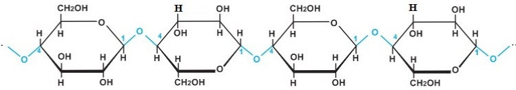 cấu tạo phân tử xenlulozo