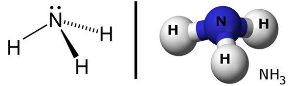 cấu tạo phân tử NH3 amoniac