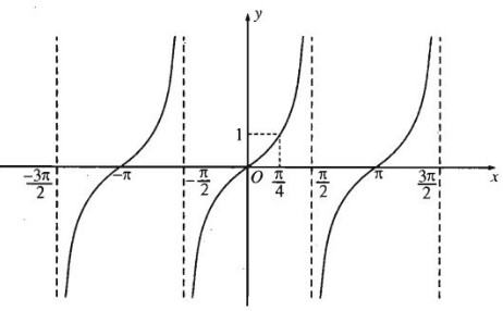 đồ thị hàm số y = tanx