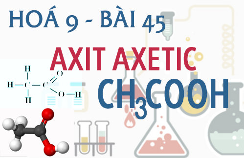 tính chất hóa học của axit axetic 9 bài 45