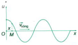 Sóng cơ sự truyền sóng cơ đặc trưng của sóng hình Sin và Phương trình sóng   Vật lý 12 bài 7