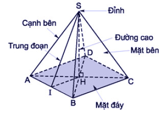 Cho hình chóp tứ giác đều có cạnh đáy bằng a và chiều cao fracasqrt  3 2 Tính số đo góc giữa mặt bên và mặt 