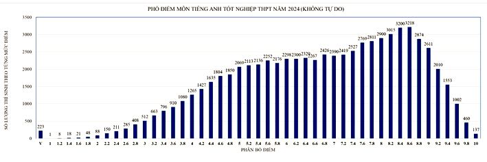 Phổ điểm thi tốt nghiệp 2024 TP.HCM môn Tiếng Anh