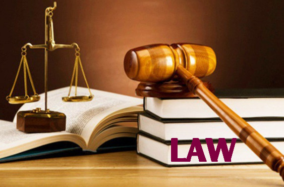 danh sách các trường đào tạo ngành luật